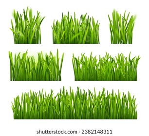 Grass leaves of field or meadow, lawn or pasture of farm. Vector realistic greenery collection, wild nature and garden grassy vegetation variety, weed or grassland texture or effect