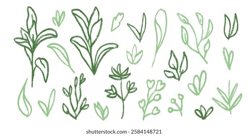 Grass and leaves line crayon drawn set. Spring plants doodle. Summer floral kids elements. Chalk or pastel outline style childish shape. Vector naive pencil illustration isolated on white background.