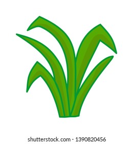 Grass leaves vector Cartoon illustration Design Graphic