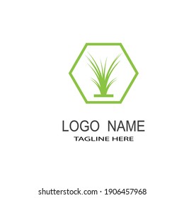 Grass leaves vector icon. Cartoon illustration of grass leaves vector 