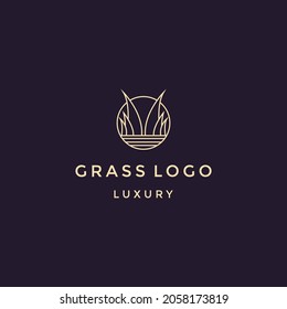 Grass leaves vector icon. illustration of grass leaves vector