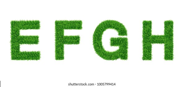 Grass letter Collection. E, F, G, H Isolated from white .Eco symbol . The green lawn background. Vector illustrations