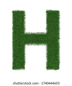 Grass letter H isolated on white background