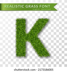 Grass Letter K Alphabet 3d Design Stock Vector (Royalty Free ...