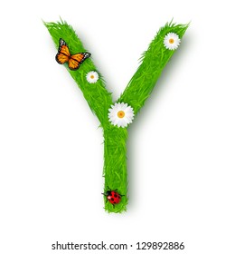 Grass Letter Y on white background