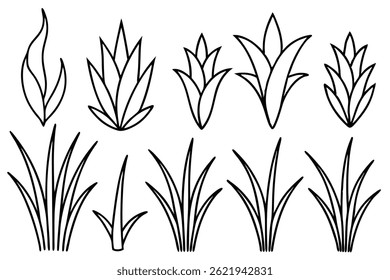 Grass Line Art Detailed Drawing for Botanical Themed Artwork Print 