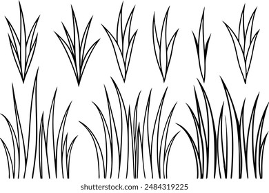 Grass Line Art Simple Black and White Illustration