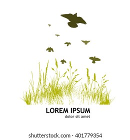 grass line with flying birds. Vector