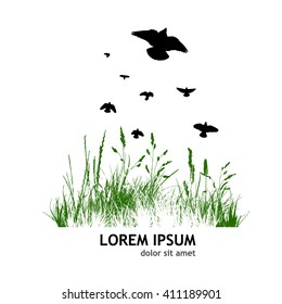 grass line with flying birds. Vector