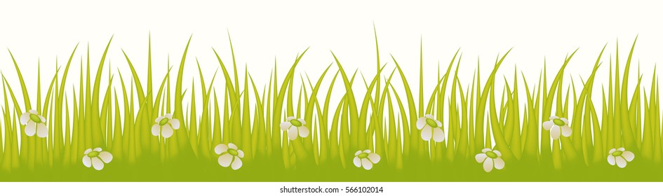 Grass line seamless with flowers isolated on white background use for web site design, decoration and other. Vector Illustration 