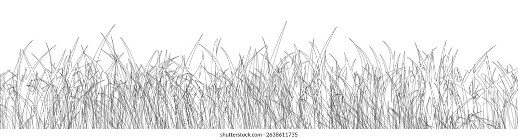 Grass lines silhouette, park, field lawn, meadow, horizontal nature lush landscape background - vector