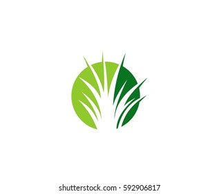 Grass Logo