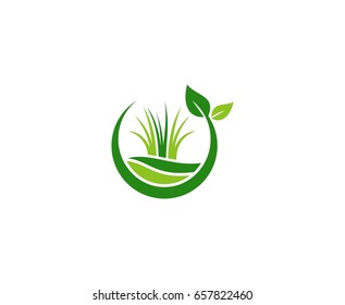 Grass Logo