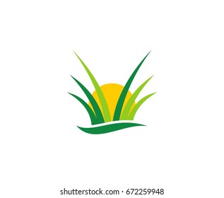 Grass Logo