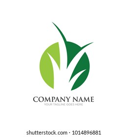 Grass Logo Design