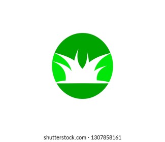 Grass logo design template