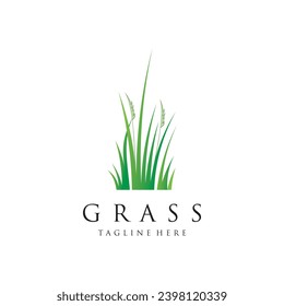 Grass logo design template vector illustration with creative idea