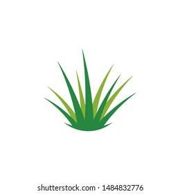 Grass logo template vector icon illustration design 