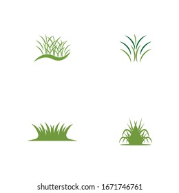 Grass logo template vector illustration