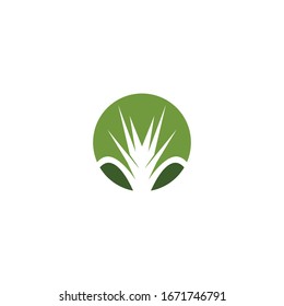 Grass logo template vector illustration