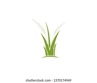 Grass logo - Vector