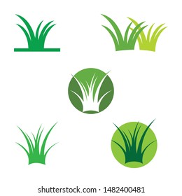 
Grass logo vector ilustration template