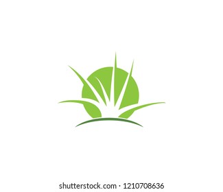 Grass logo vector template