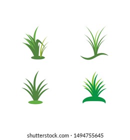 Grass logo vector template design