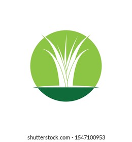 Grass logo vector template illustration