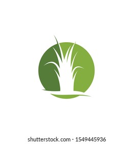 Grass logo vector template illustration
