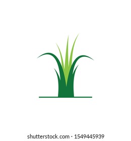Grass logo vector template illustration
