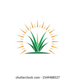 Grass logo vector template illustration