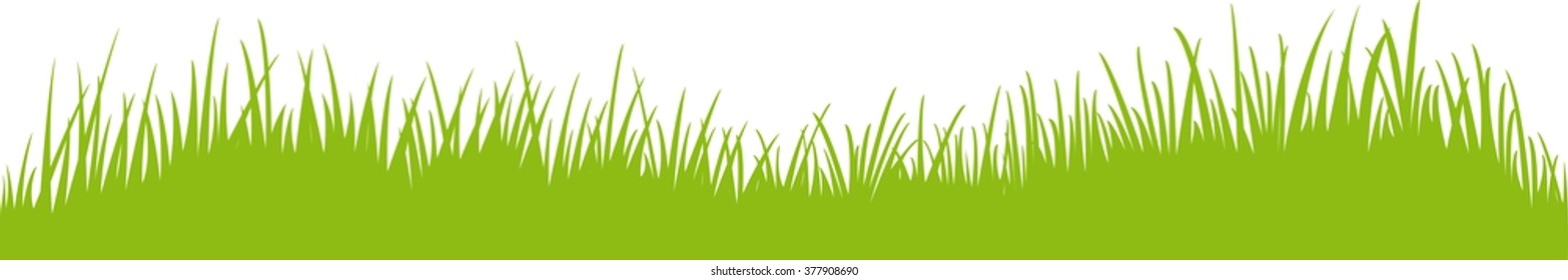 grass / meadow / lawn panorama