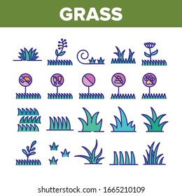 Grass Meadow Plant Collection Icons Set Vector. Garden Natural Glass With Mark Non-feet, No Animal, Growth Botanical Herb Concept Linear Pictograms. Color Contour Illustrations