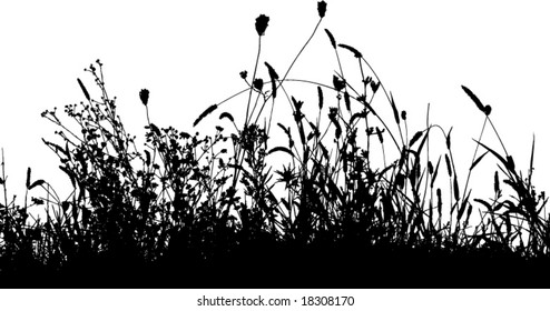 Grass meadow and plants silhouette vector