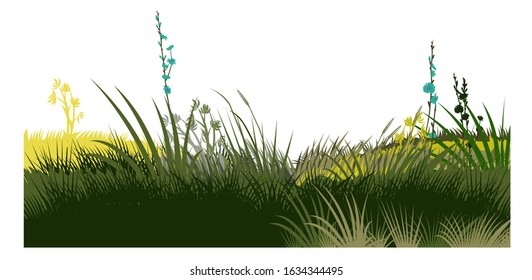 Grass, meadow. Vector. Juicy summer herbs on a transparent background. Isolated object.