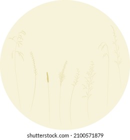 Grass of meadows and fields for medicines, flat sketch of plants in gentle brown shades. Template for label, cover or web screensaver.