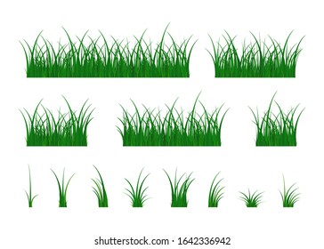 Grass nature collection. Herbaceous plants. Design elements isolated on white background. Vector illustration