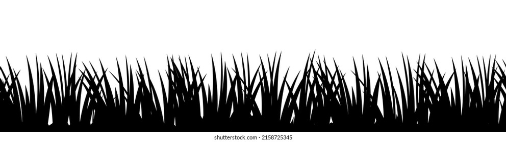 Grass. Nature rural landscape. The pasture is overgrown. Overgrown dense lawn. Isolated on white background. Horizontal seamless illustration. Silhouette picture. Vector.