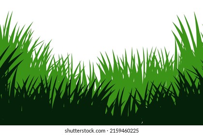 Grass. Nature rural landscape. Pasture overgrown. Overgrown dense lawn. Isolated on white background. Vector.