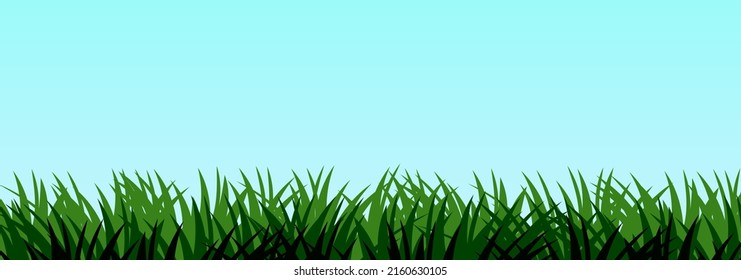 Grass. Nature rural landscape. Pasture overgrown. Overgrown dense lawn. Horizontal seamless illustration. Vector.