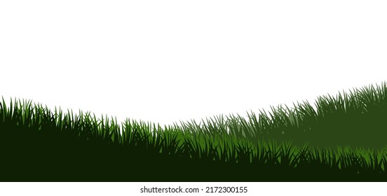 Grass. Nature rural landscape. Pasture overgrown. Overgrown dense lawn. Hilly meadow. Isolated on white background. Vector.