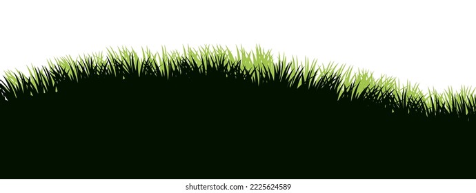 Grasa. El paisaje natural rural. Pastura sobrecrecida. El césped denso y sobrepoblado. Aislado sobre fondo blanco. Vector