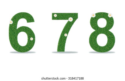 Grass numbers 6-8. Vector illustration