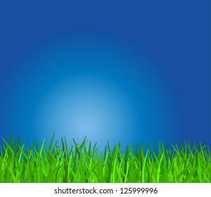 grass on a background of blue sky