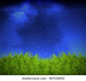 grass on a background of night sky