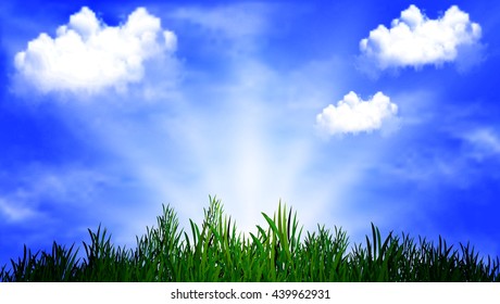 grass on a background of the sunny sky