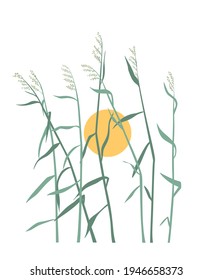 Grass on the background of the sunset. Minimalistic vector graphics.