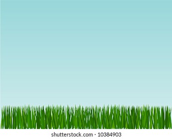 Grass on blue sky background