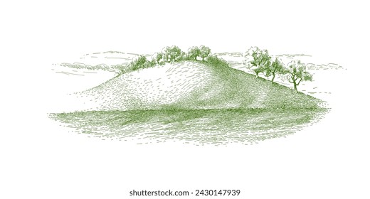 Hierba en el paisaje de la colina de los campos. Conjunto de árboles frutales: olivo, manzana, ciruela, albaricoque. Huerto, arboleda. Ilustración de boceto vintage en blanco y negro